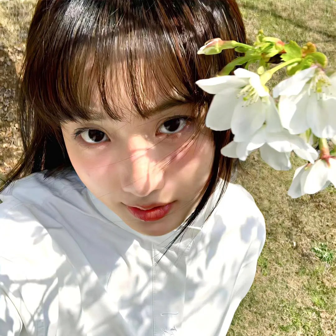星际狗狗
